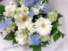 白いガーベラ　ブルー小花、ギフトフラワー、お祝い